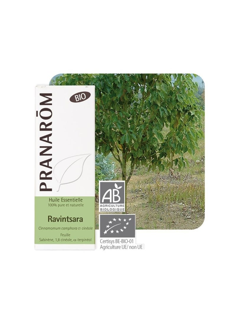 PRANAROM Pranarôm Bio Essential Oil Ravintsara (Cinnamomum camphora CT cineole) 10 ml - Image 2